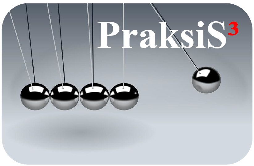 praksis3