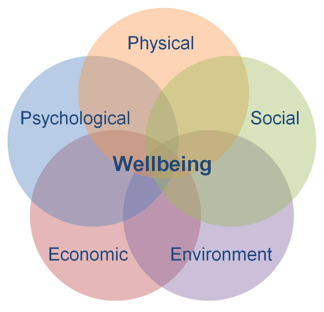 wellbeing wheel